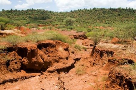 فرسایش، تهدید جدی برای خاک لرستان/۴۰ درصد خاک‌های استان با کمبود مواد آلی مواجهند