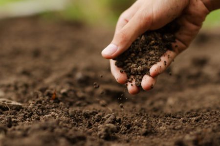برای حفظ خاک چه باید کرد؟