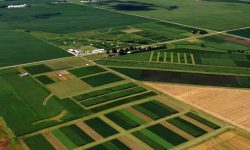 واگذاری بخشی از اراضی ملی لرستان برای طرح‌های کشاورزی